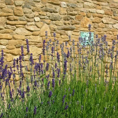 Lord Poulett Arms بريستول