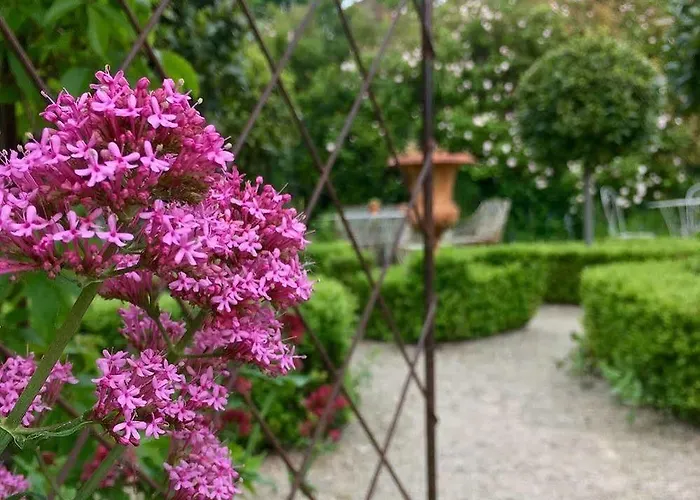 Lord Poulett Arms 3* Bristol