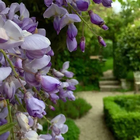 Lord Poulett Arms 3* Bristol