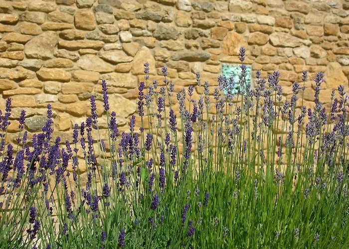 Lord Poulett Arms Bristol